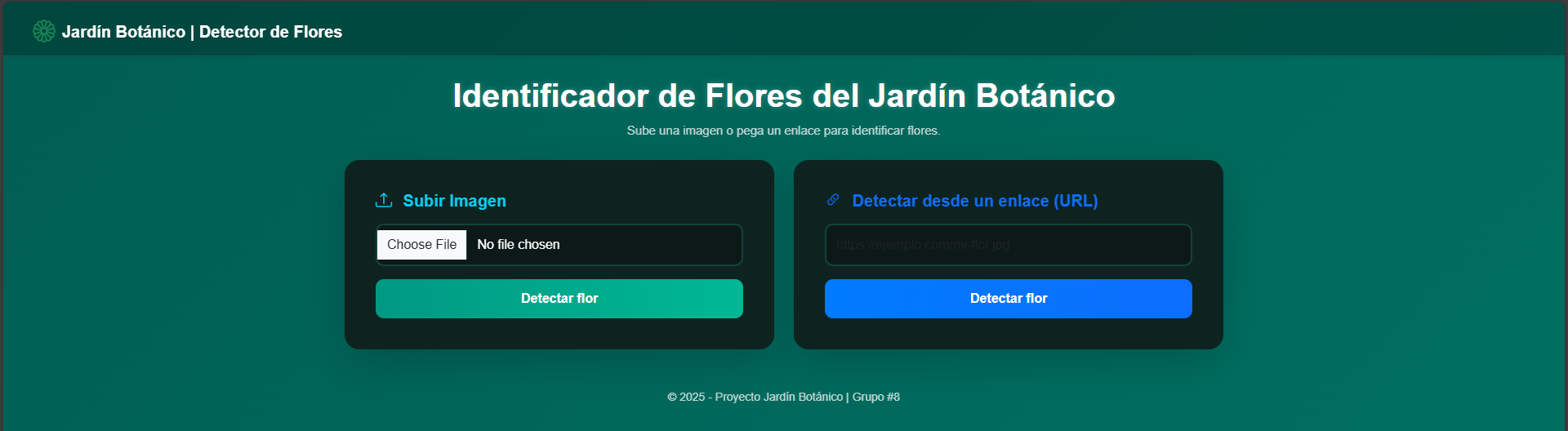 Identificador De Flores